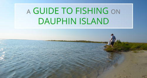 A Guide to Fishing | Blog | Dauphin Island Rentals